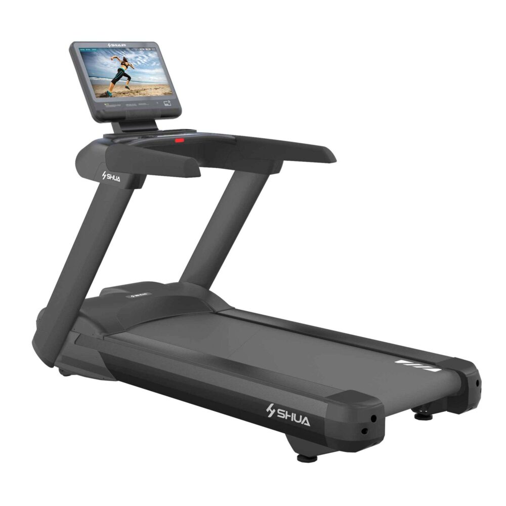 Профессиональная беговая дорожка SHUA SH-T8919T (15,6" display)